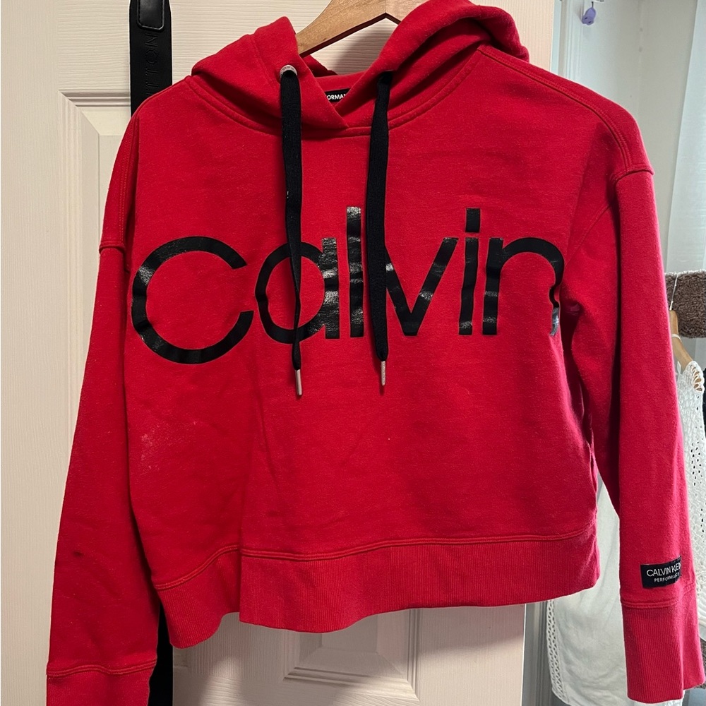 Calvin Cropped Hoddie